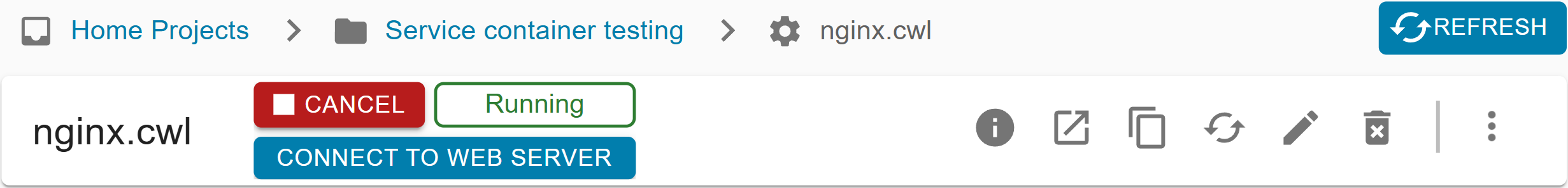 Screenshot from the top of an Arvados Workbench process page showing a running nginx service container with a "Connect to web server" button. Screenshot from the top of an Arvados Workbench process page showing a running nginx service container with a "Connect to web server" button.
